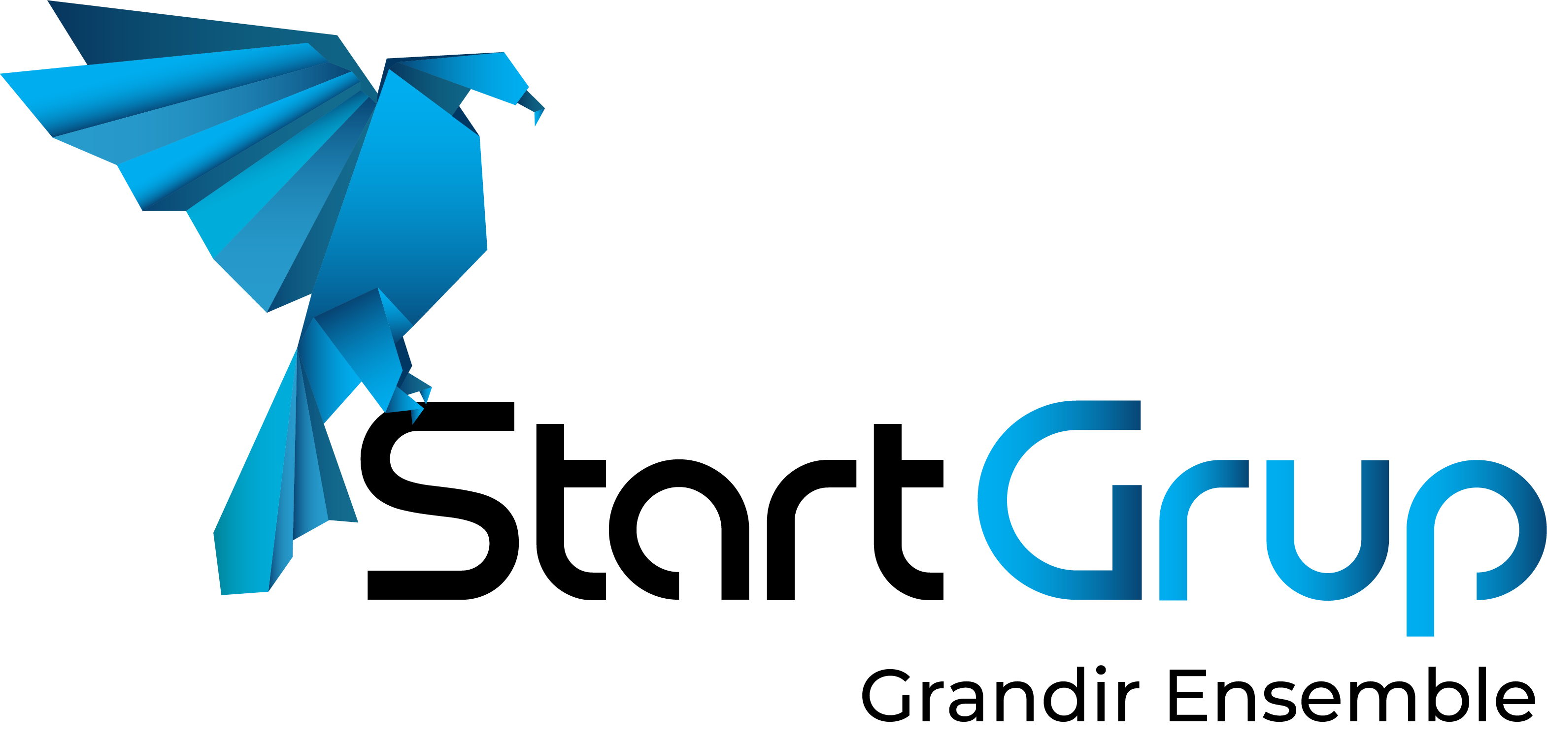 StartGrup